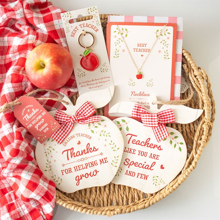 Thanks for Helping Me Grow Wooden Apple Hanging Decoration