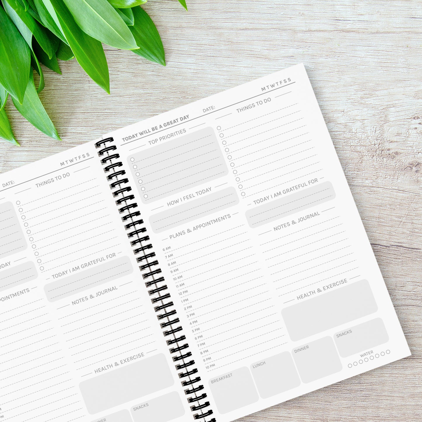 Dachshund (Dog) A5 Daily Planner