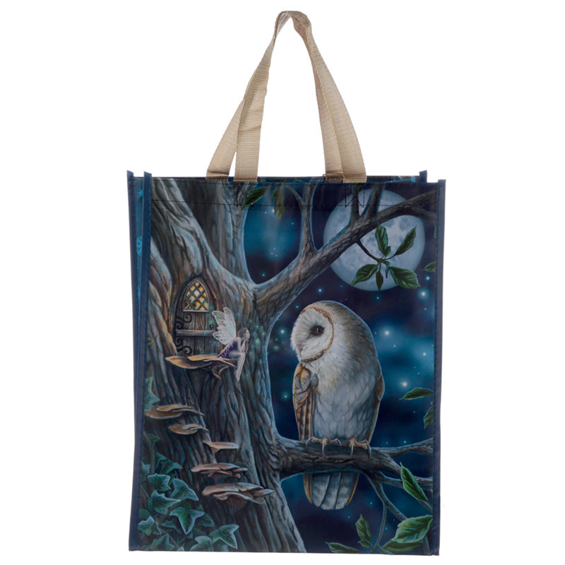 'Fairy Tales' Reusable Bag - A Lisa Parker Owl and Fairy Design