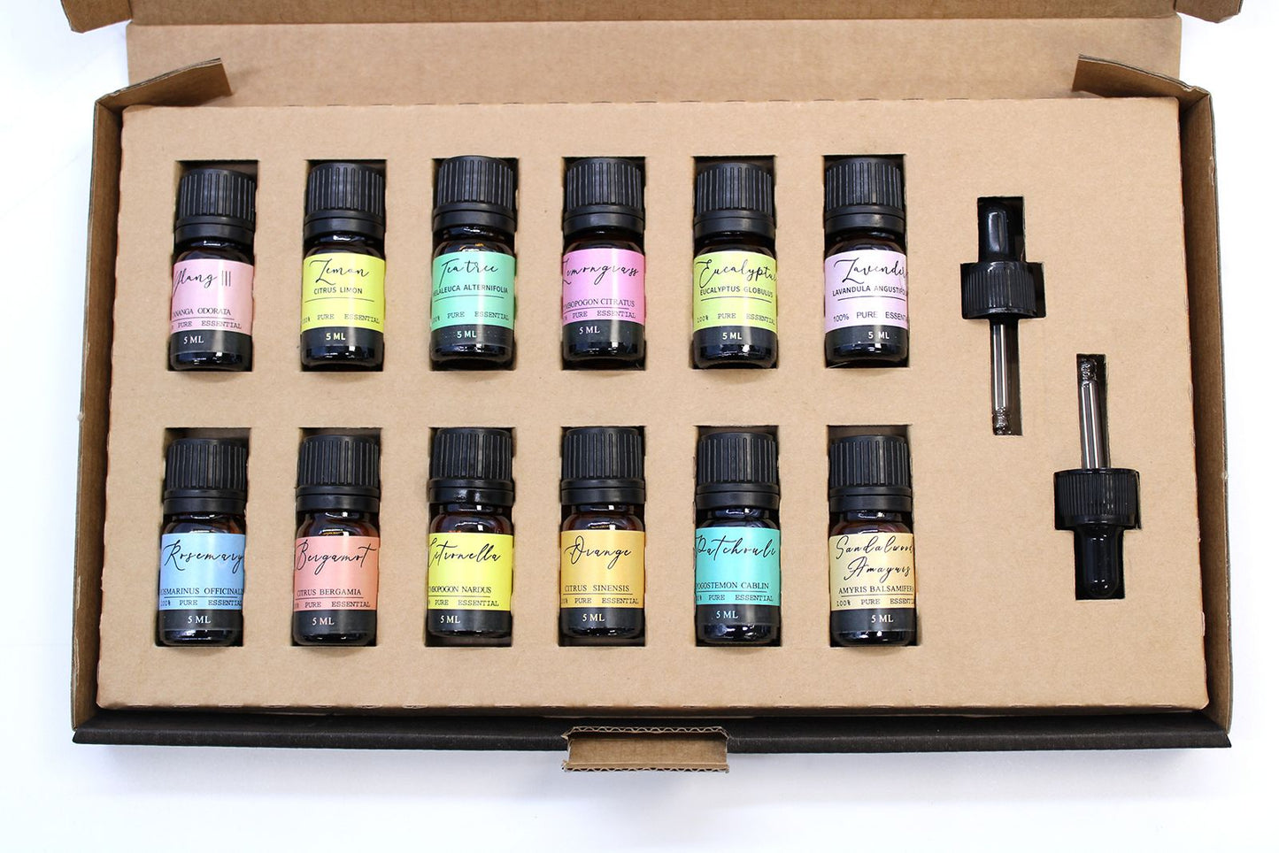 Aromatherapy Essential Oil Gift Set - The Top 12