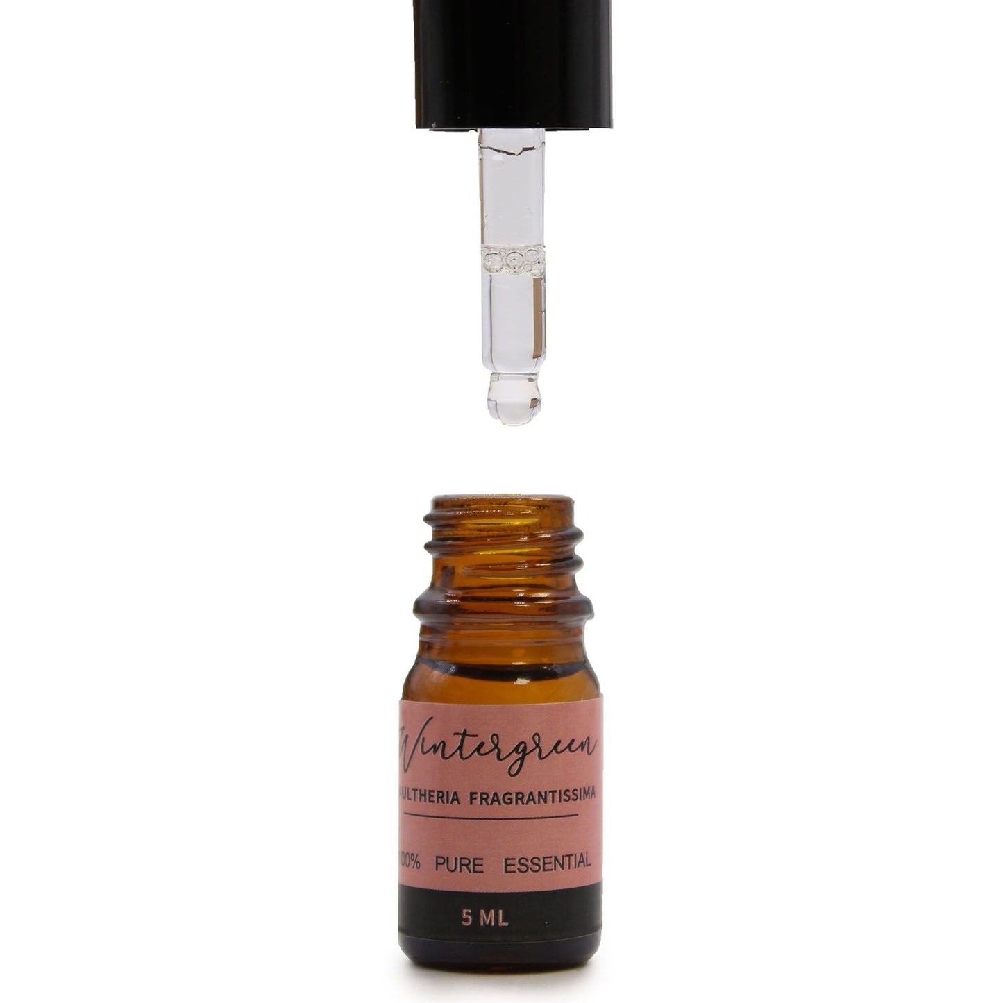 Aromatherapy Essential Oil Gift Set - The Top 12