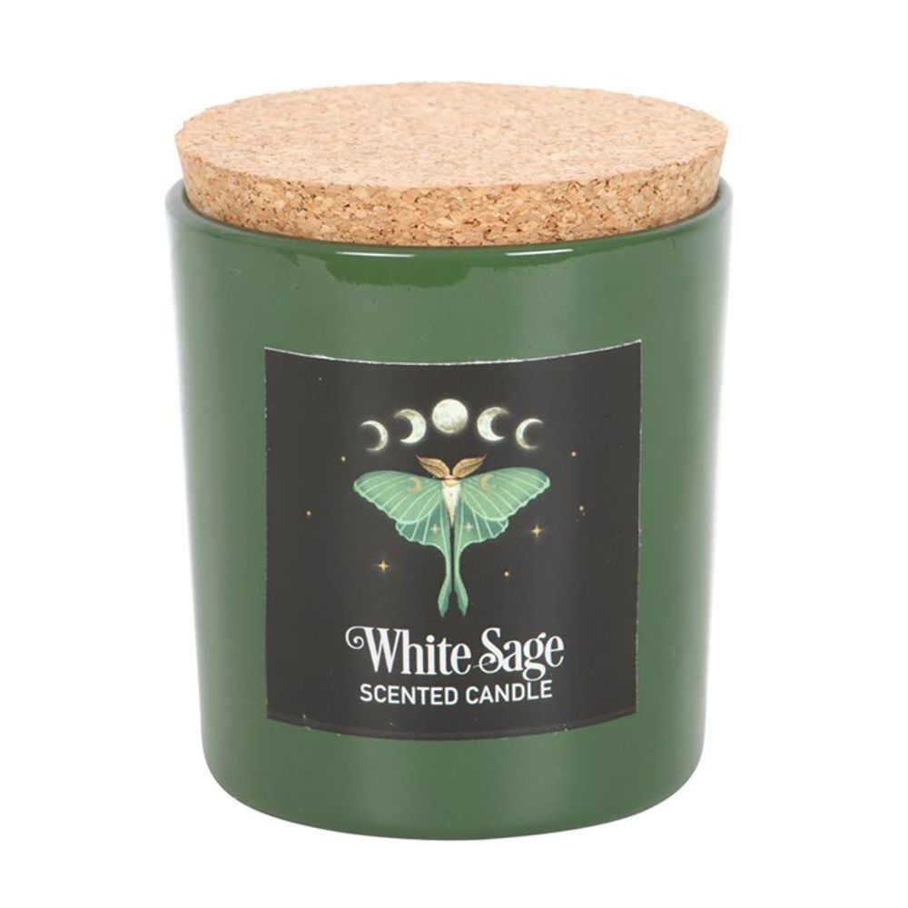 Dark Forest: Luna Moth White Sage Candle