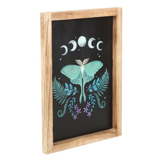 Dark Forest: Luna Moth Wooden Framed Wall Art