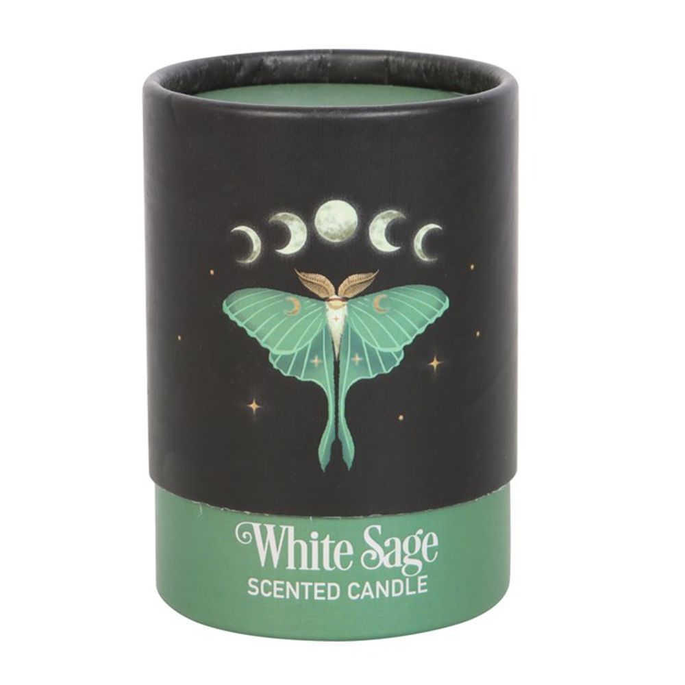 Dark Forest: Luna Moth White Sage Candle