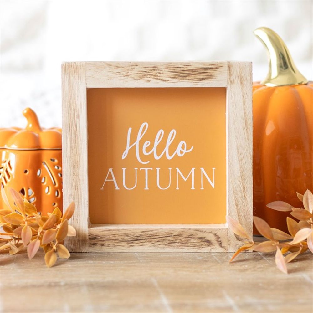 Orange Hello Autumn Wooden Framed Sign