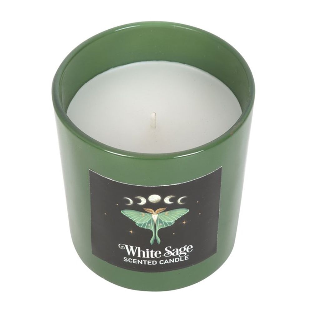 Dark Forest: Luna Moth White Sage Candle