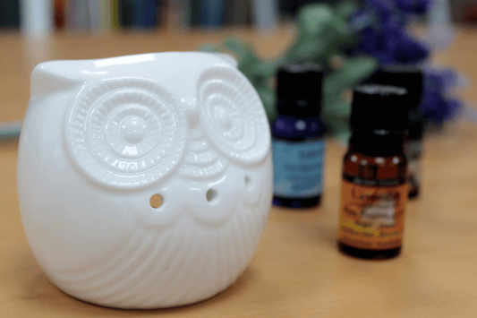 White Oil/Wax Melt Burner - Short Owl