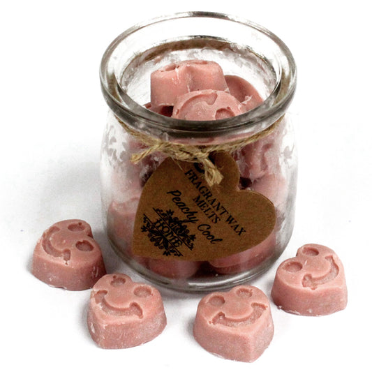 Soy Wax Melt Hearts - Peachy Cool