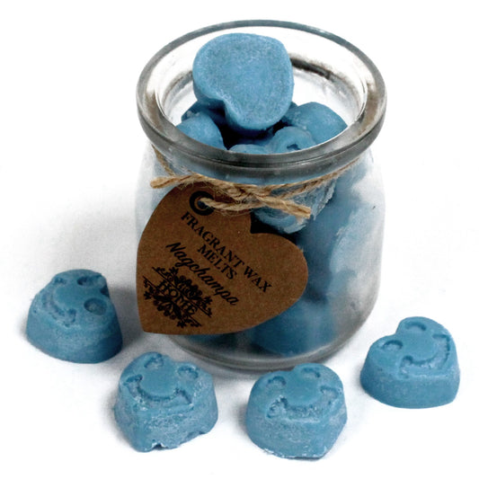 Soy Wax Melt Hearts - Nagchampa
