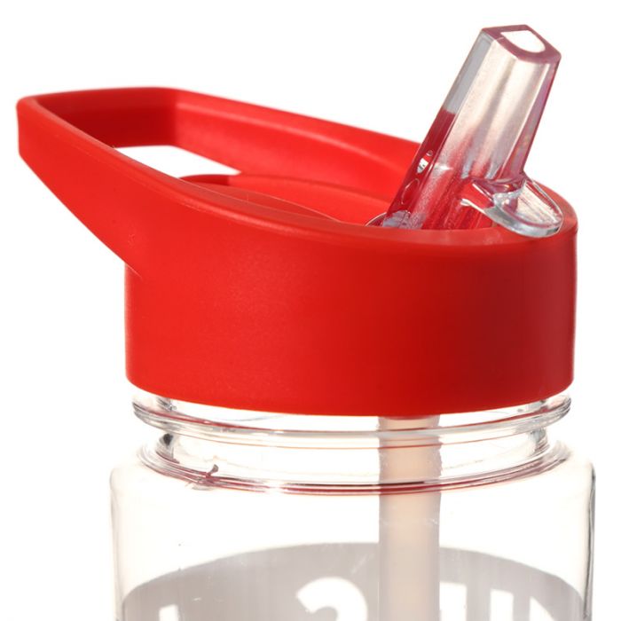 Wales 'Welsh Dragon' Water / Drinks Bottle 500ml