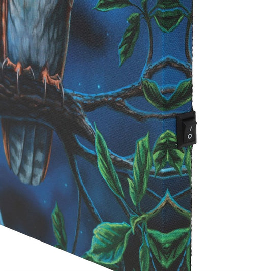 30x30cm 'Fairy Tales' Light Up Canvas Plaque by Lisa Parker