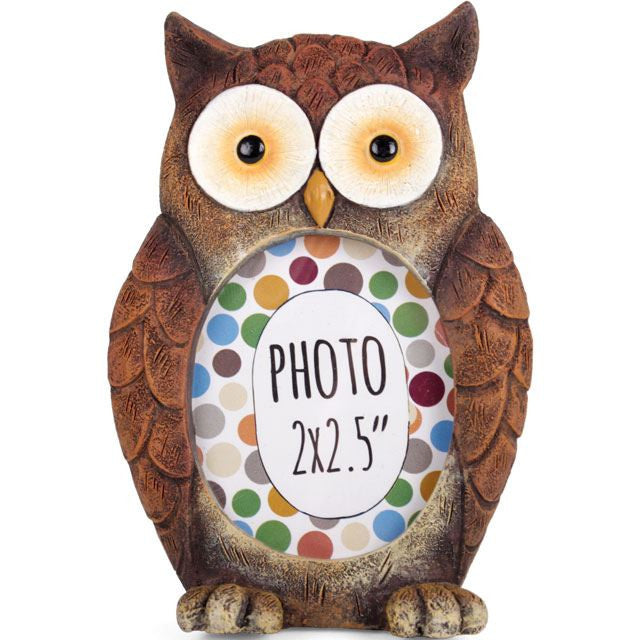 Reduced to Clear: Animal Photo Frames - Only Monkey or Hedgehog remaining