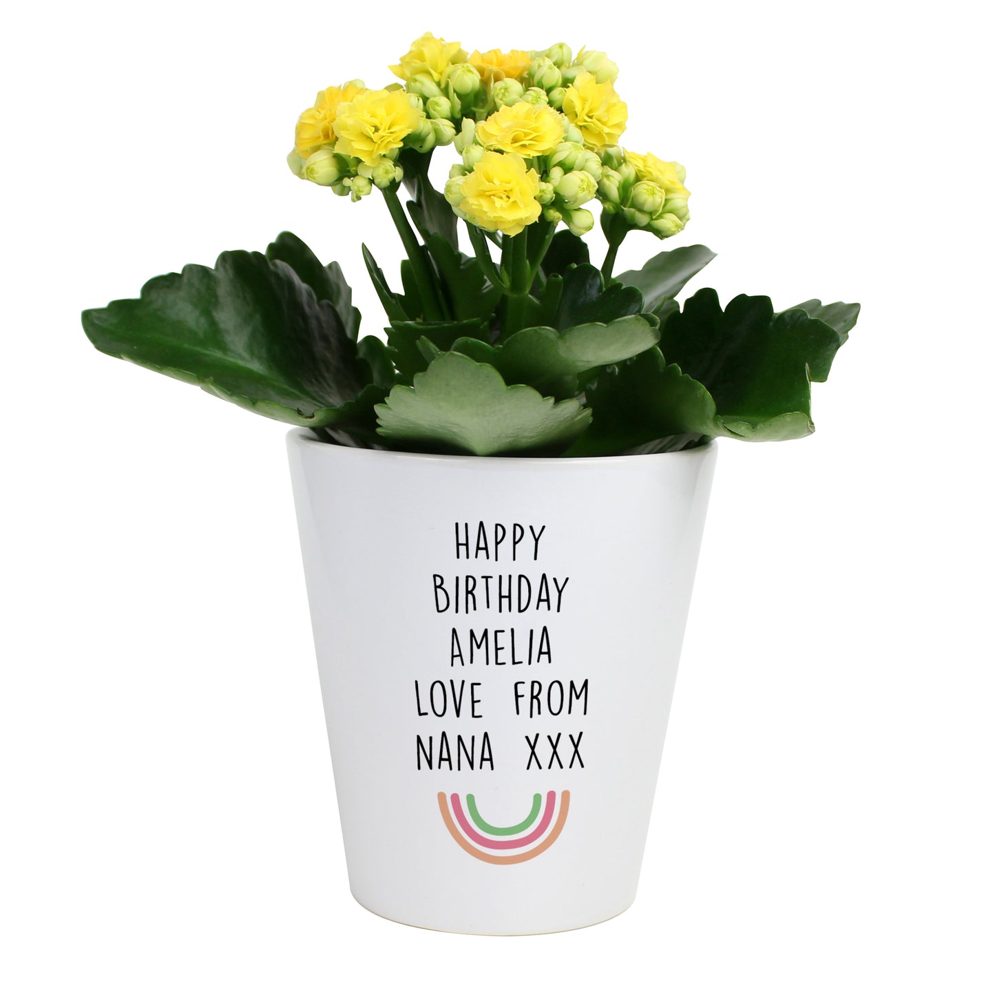 Personalised Rainbow Ceramic Plant Pot