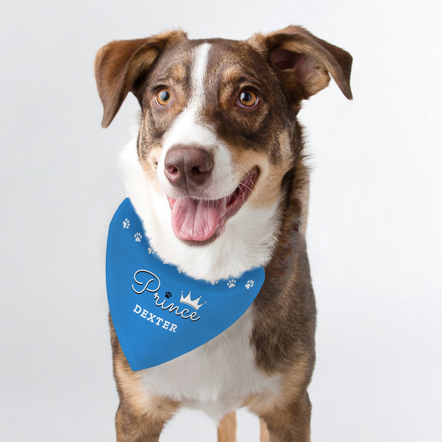 Personalised Prince or Princess Dog Bandana