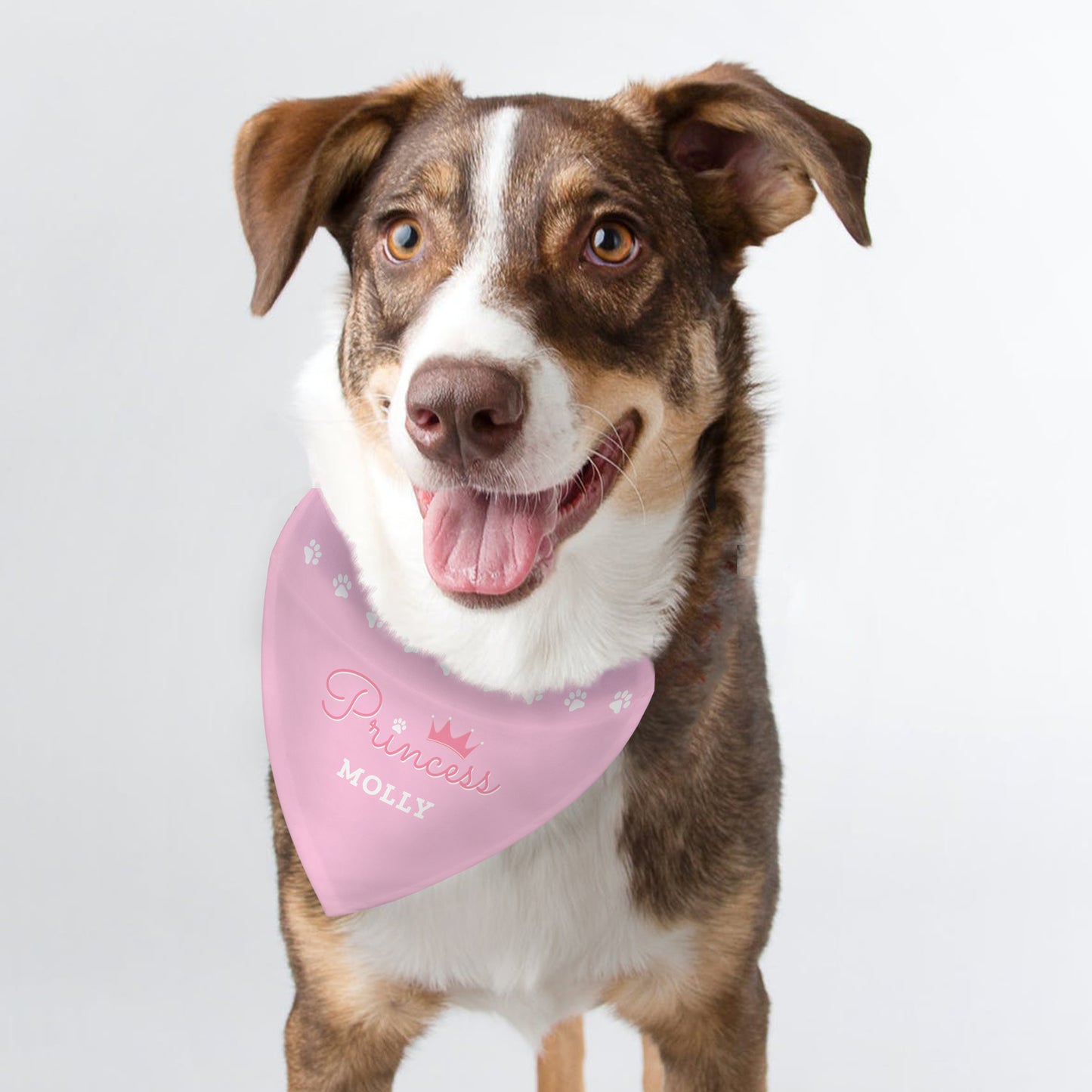 Personalised Prince or Princess Dog Bandana