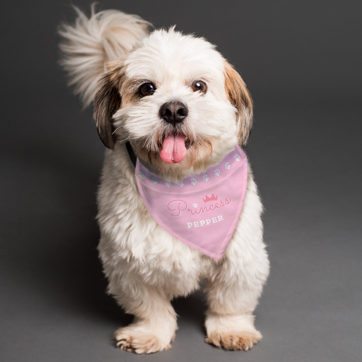 Personalised Prince or Princess Dog Bandana