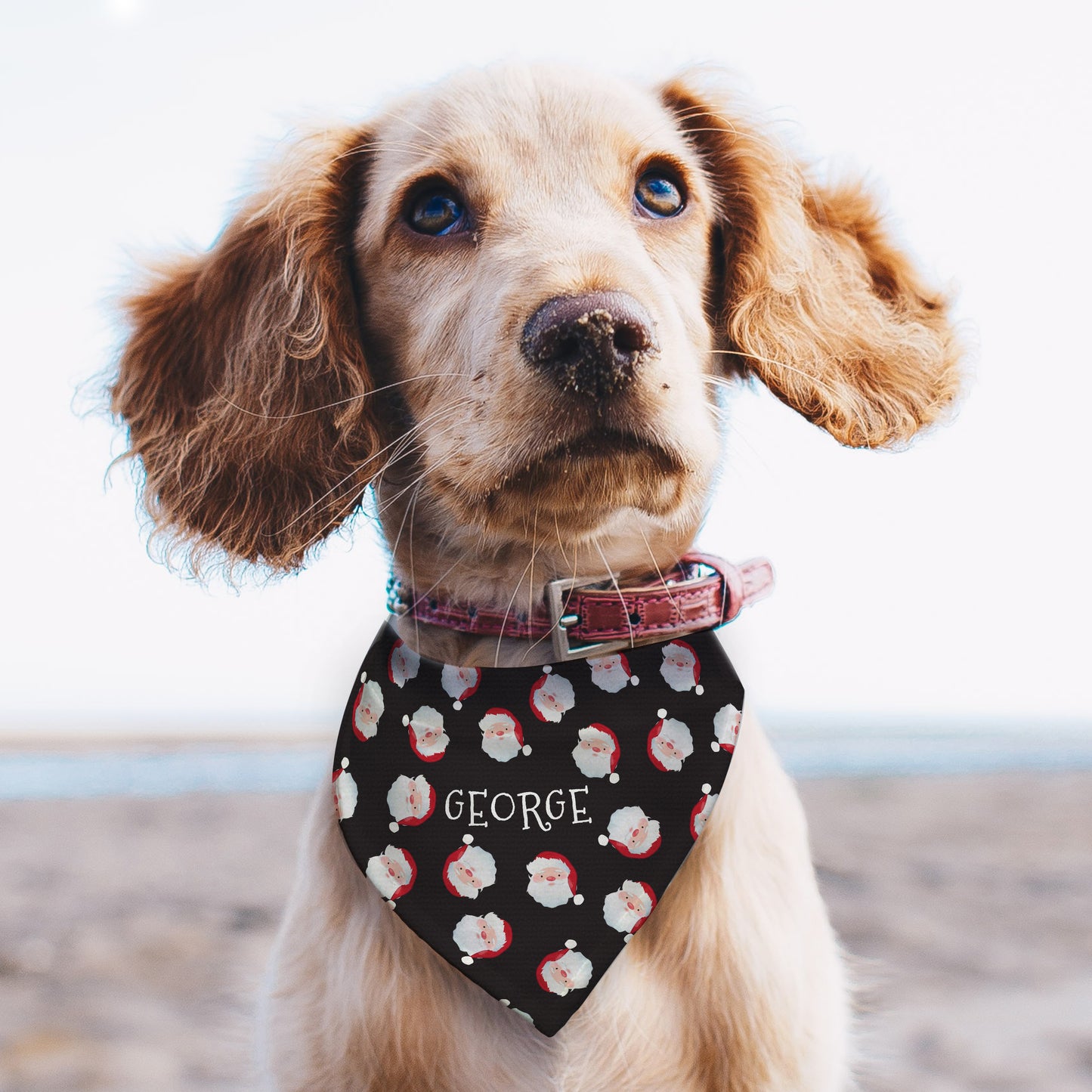 Personalised Christmas Dog Bandana with Santa Faces