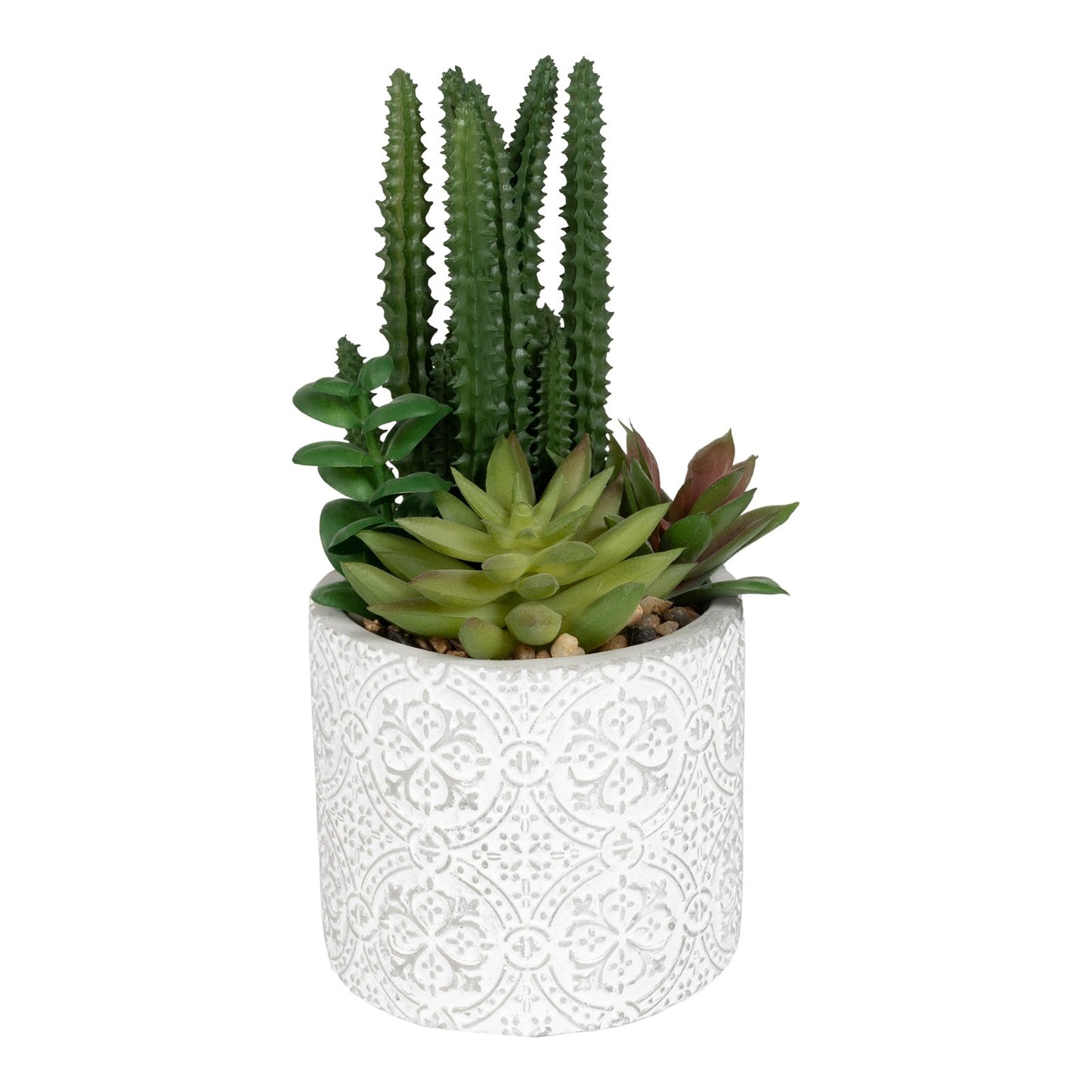 Succulents In Aztec Embossed Pot - 2 Designs