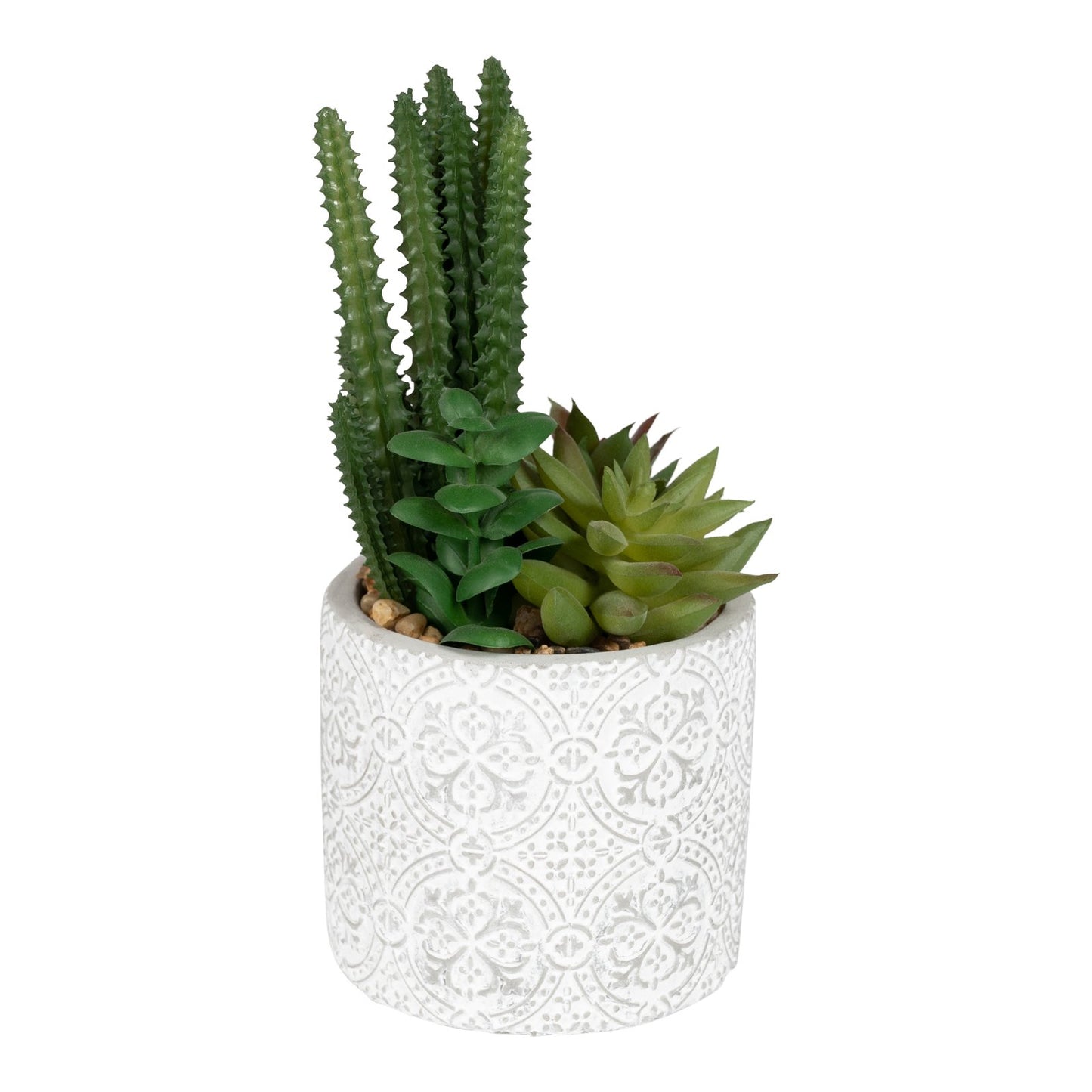 Succulents In Aztec Embossed Pot - 2 Designs
