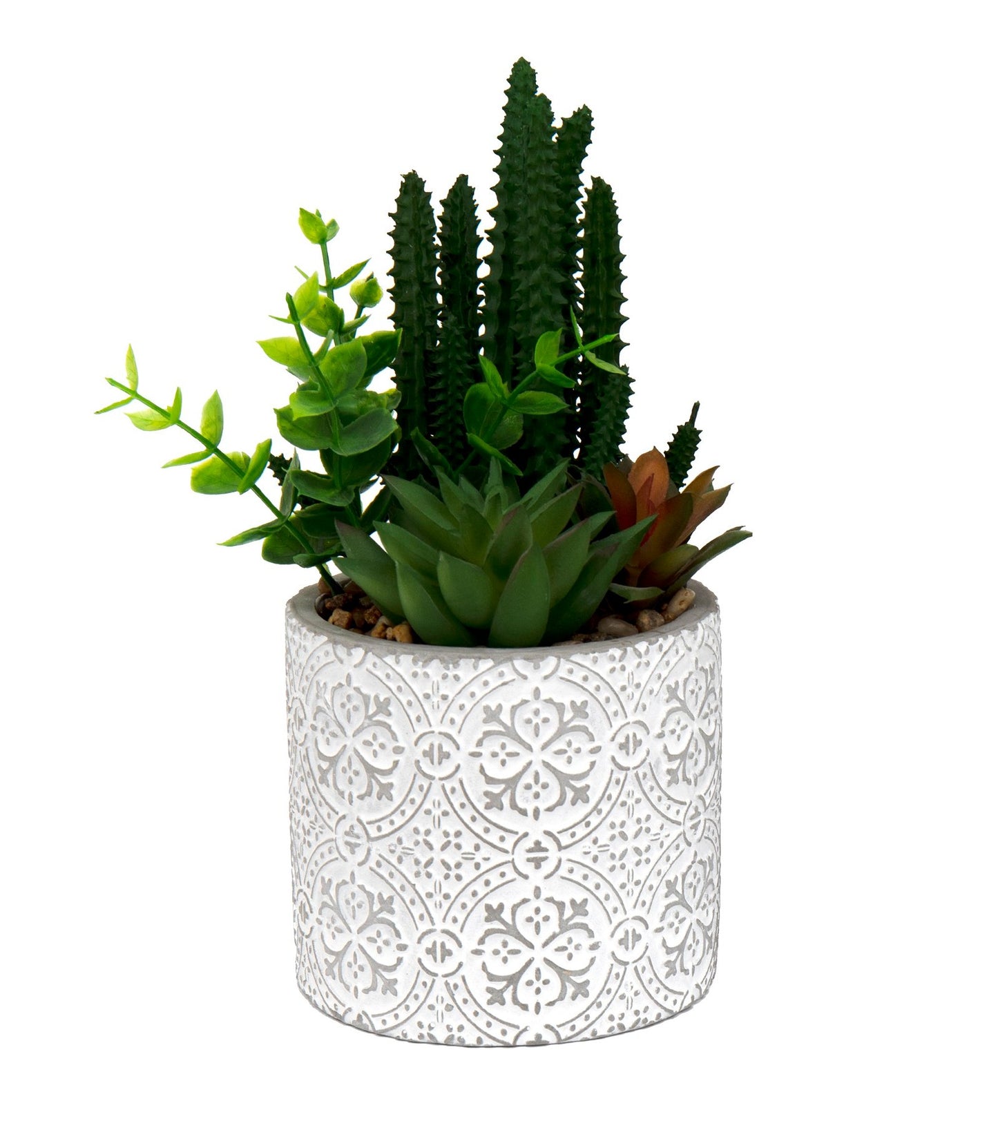 Succulents In Aztec Embossed Pot - 2 Designs