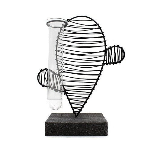 Hydroponic Home Décor - Cactus and Lab Pot