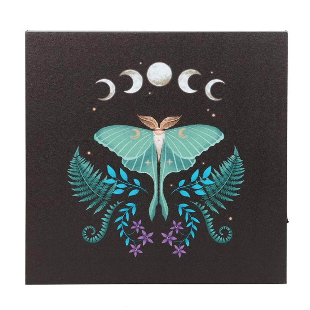 Luna Moth Light Up Canvas Plaque (30cm x 30cm)