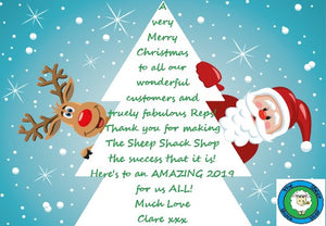 Merry Christmas and a Happy New Year!