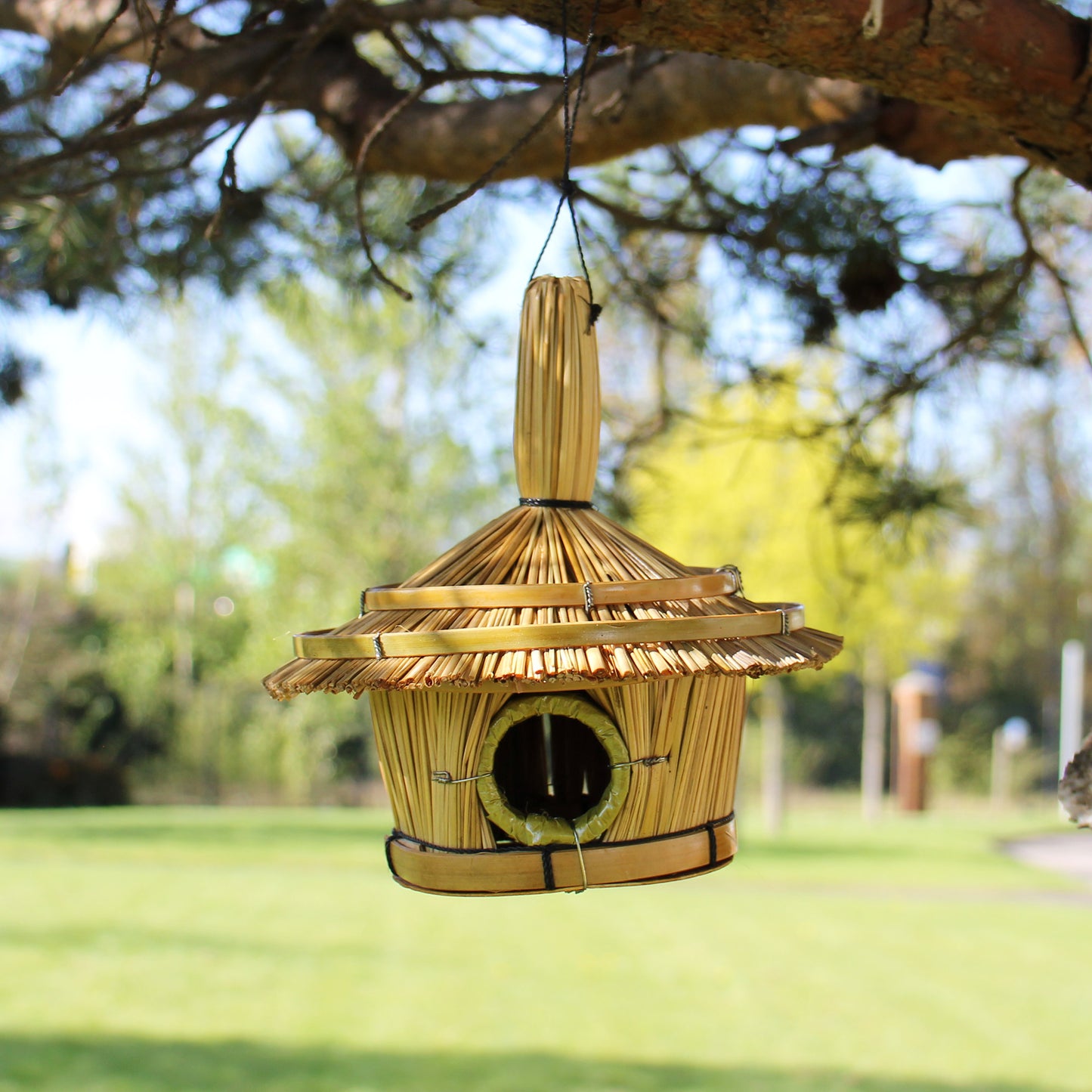 Round Seagrass Garden Bird Box (Small)