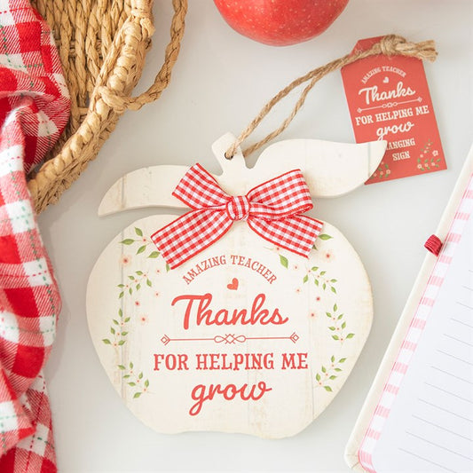 Thanks for Helping Me Grow Wooden Apple Hanging Decoration