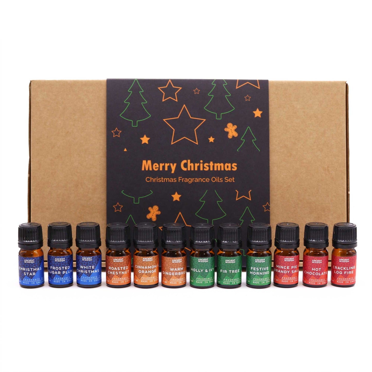 Festive Scents of Christmas Fragrance Oil Set (12 Scents)