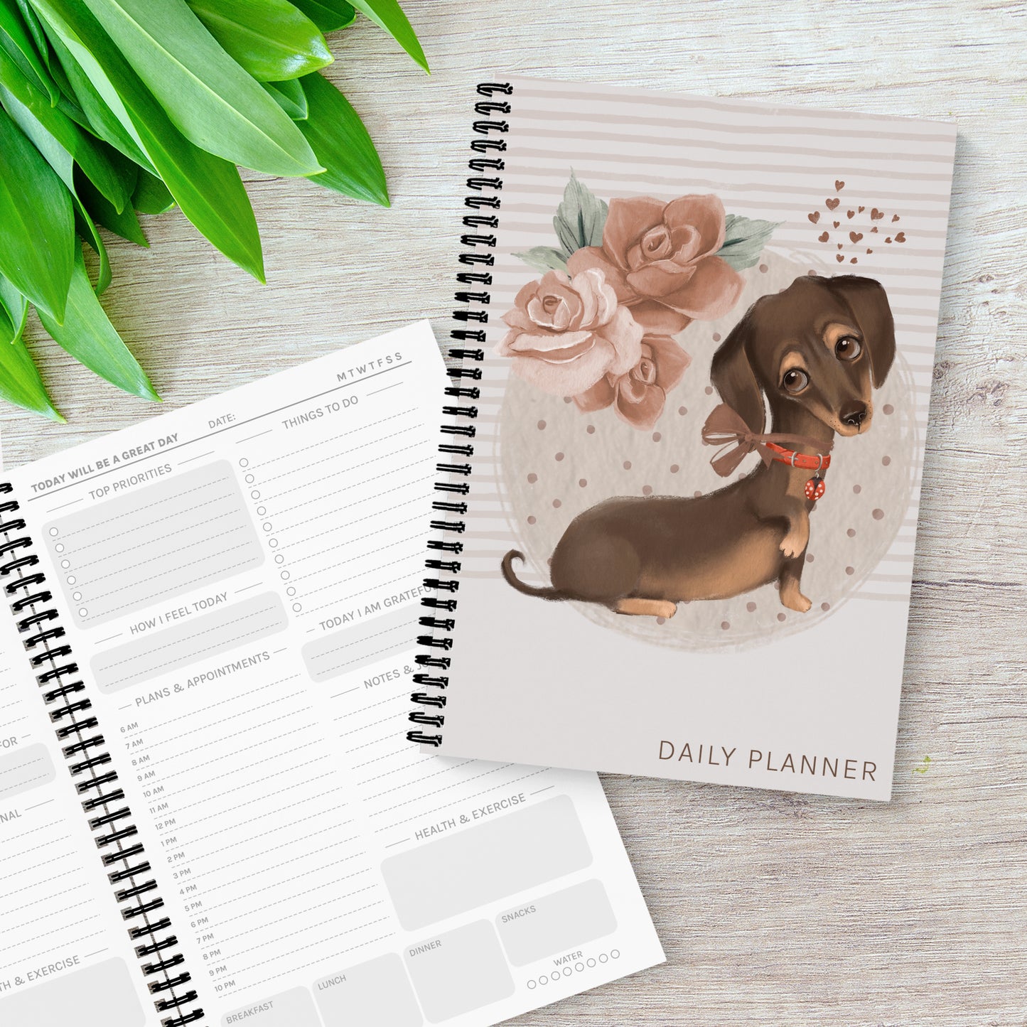 Dachshund (Dog) A5 Daily Planner