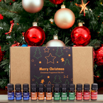 Holy Scents of Christmas Fragrance Oil Set (12 Scents)
