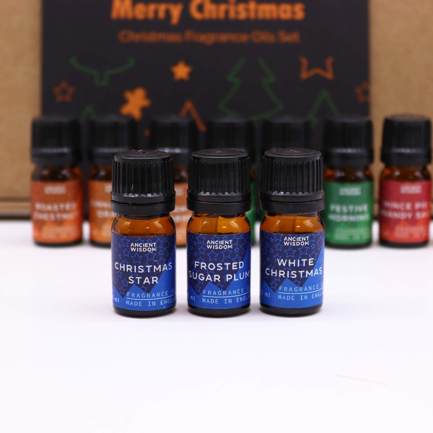 Festive Delights Fragrance Oil Gift Set - 12 Christmas Inspired Scents