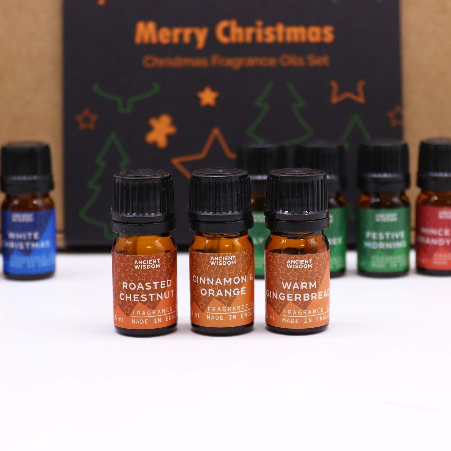 Festive Delights Fragrance Oil Gift Set - 12 Christmas Inspired Scents