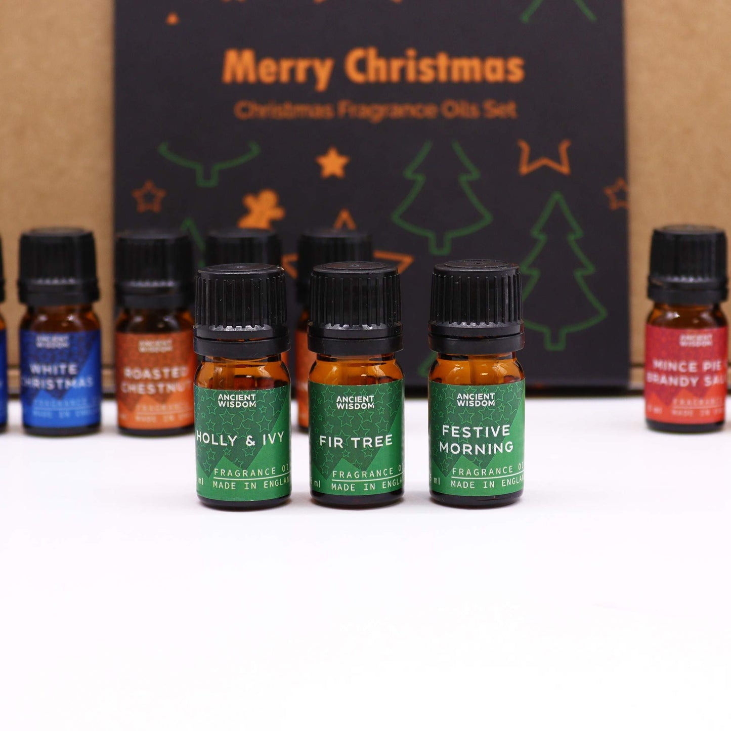 Festive Delights Fragrance Oil Gift Set - 12 Christmas Inspired Scents