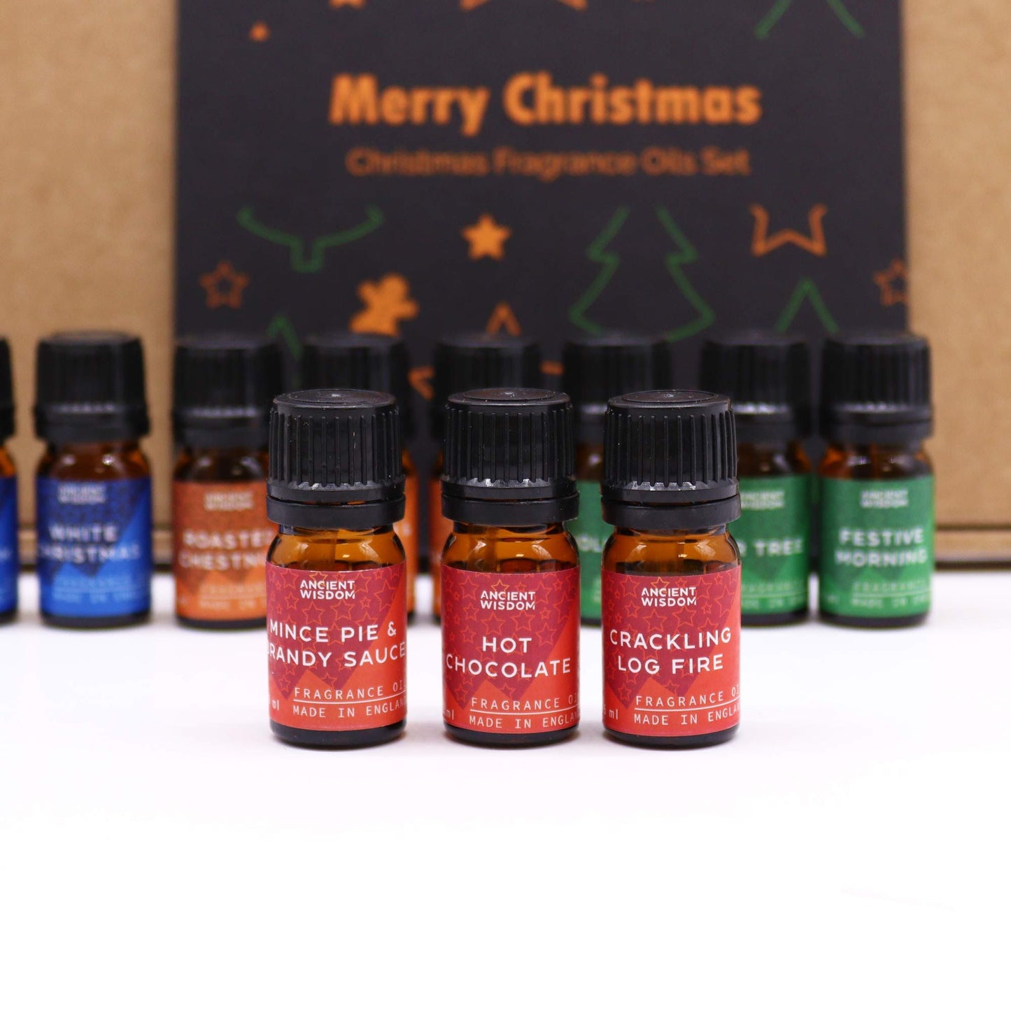 Festive Delights Fragrance Oil Gift Set - 12 Christmas Inspired Scents