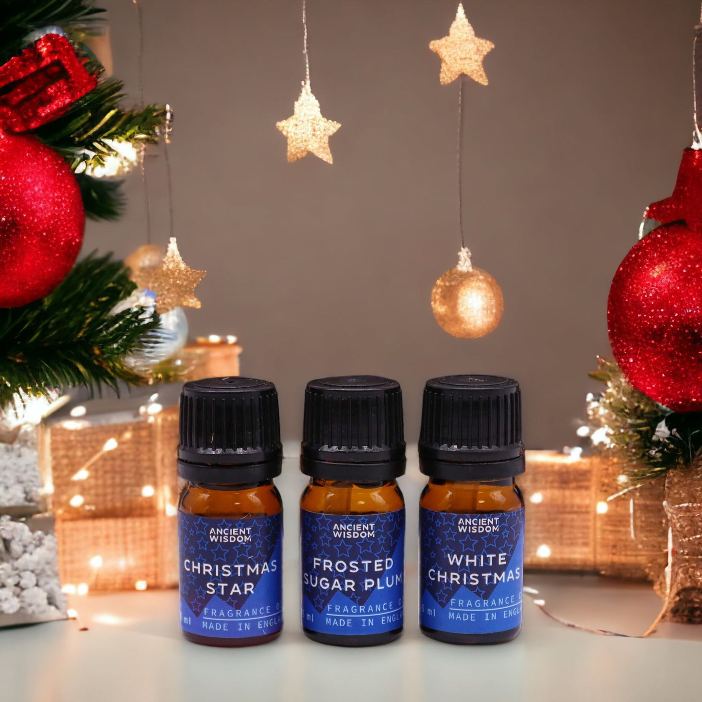 Festive Delights Fragrance Oil Gift Set - 12 Christmas Inspired Scents