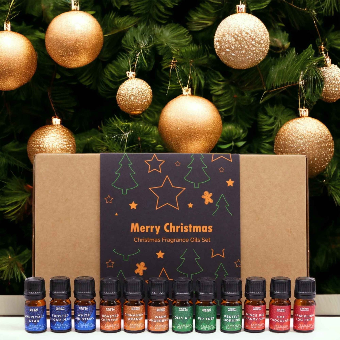 Festive Delights Fragrance Oil Gift Set - 12 Christmas Inspired Scents