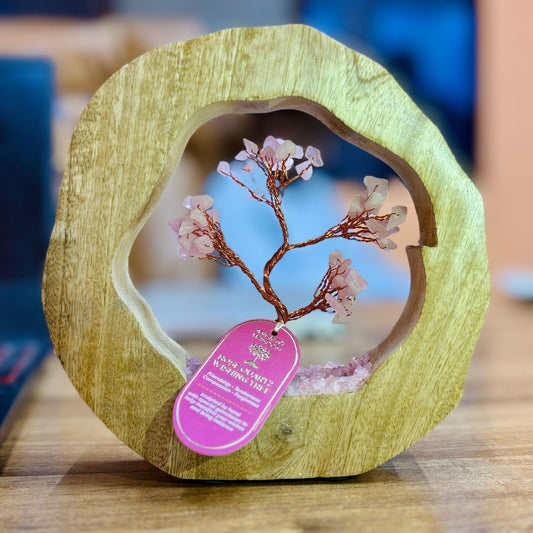 Rose Quartz Gemstone Tree Garden in a Mango Wood Ring - 60 chipstones