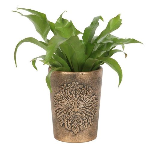 Green Man Bronze Terracotta Plant Pot - A Lisa Parker Design