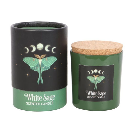 Dark Forest: Luna Moth White Sage Candle