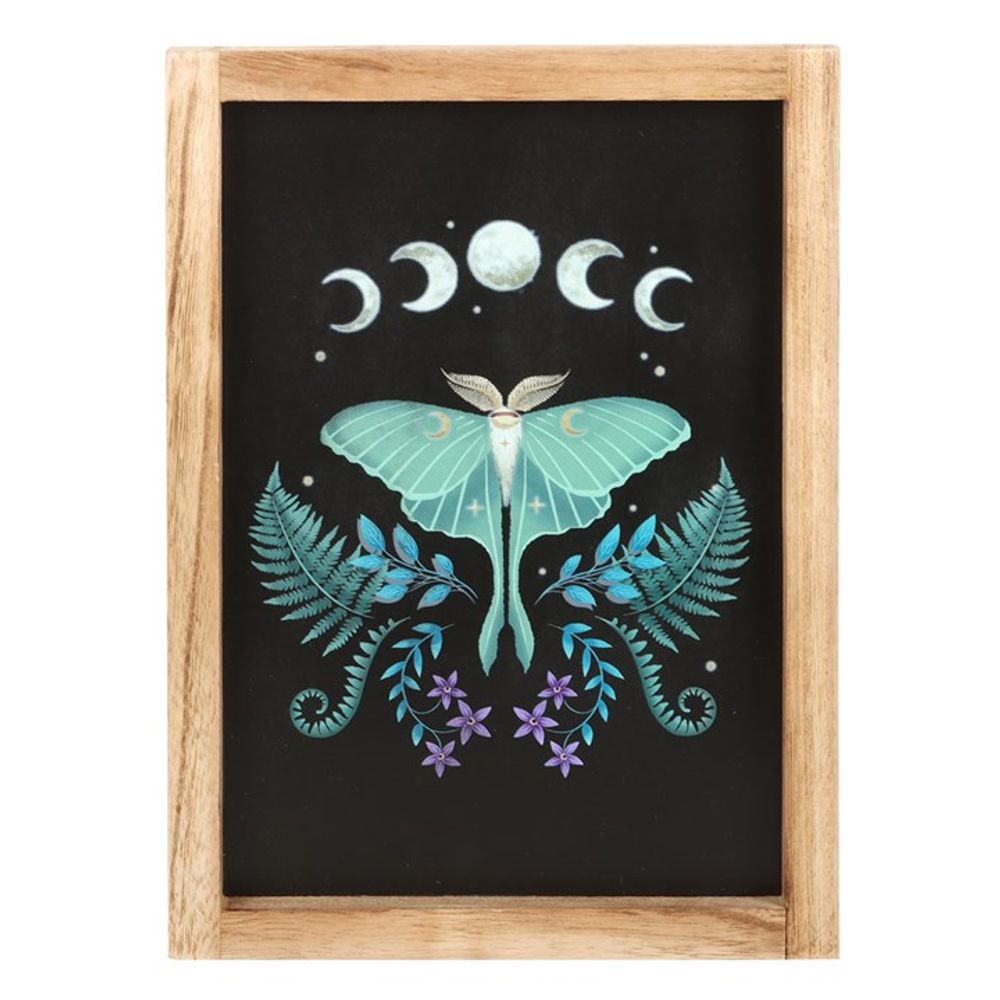 Dark Forest: Luna Moth Wooden Framed Wall Art