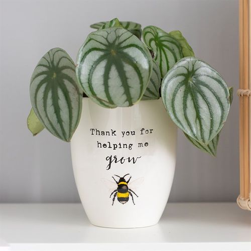 'Thank You For Helping Me Grow' Bee Ceramic Plant Pot