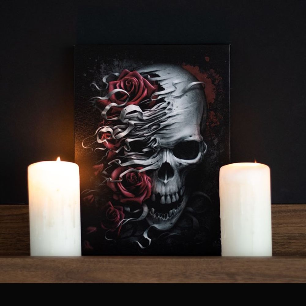 19x25cm Skulls n Roses Canvas Plaque by Spiral Direct