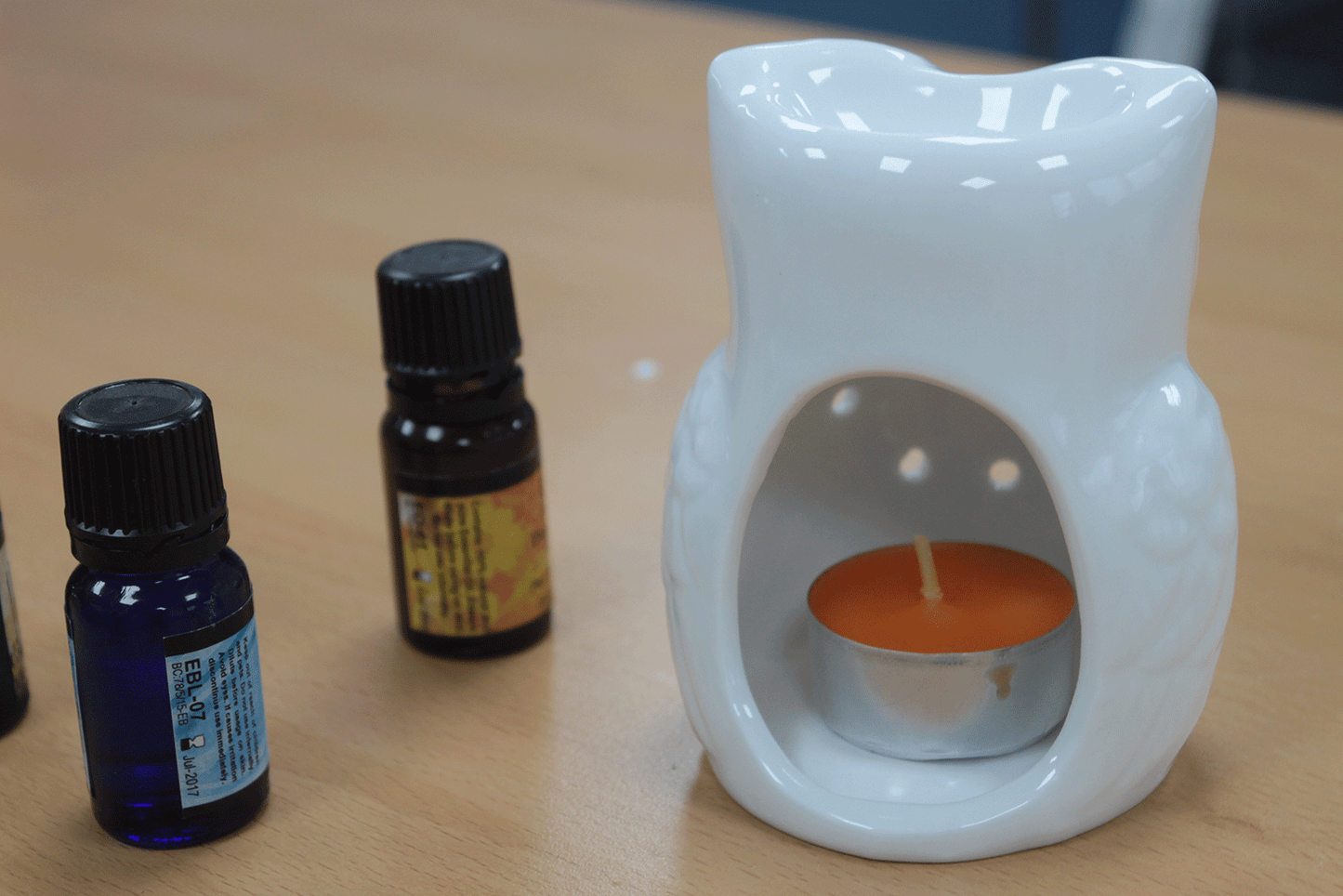 White Oil/Wax Melt Burner - Tall Owl