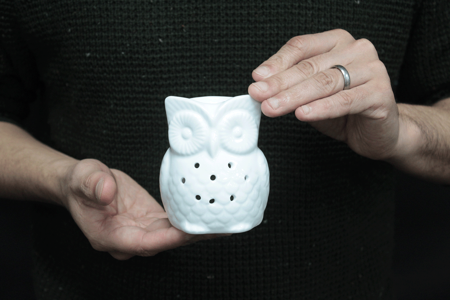 White Oil/Wax Melt Burner - Tall Owl