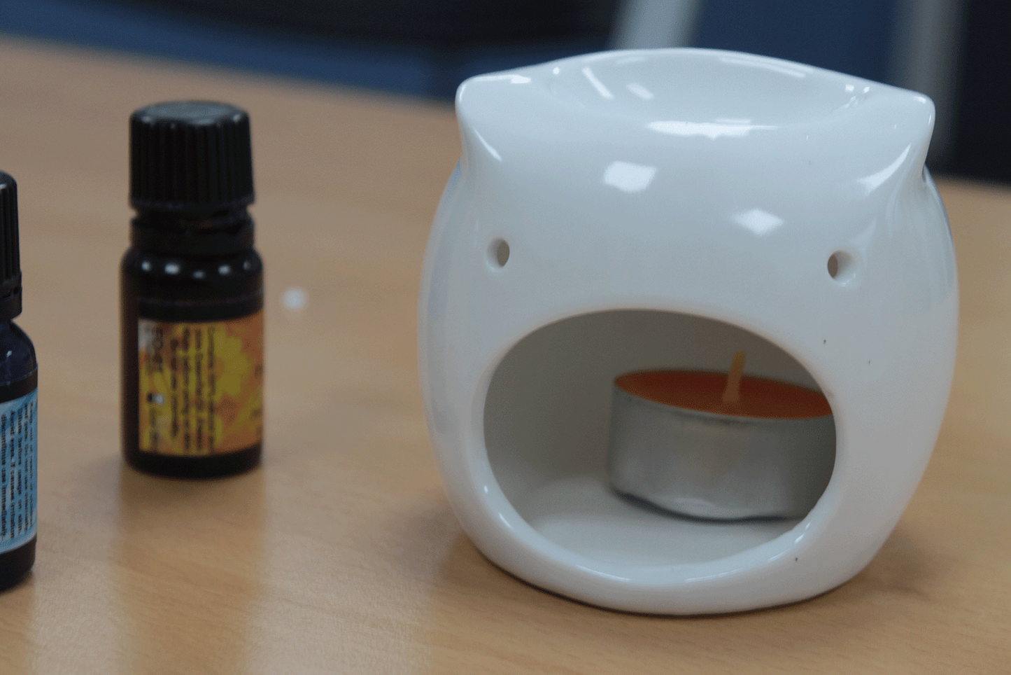 White Oil/Wax Melt Burner - Short Owl