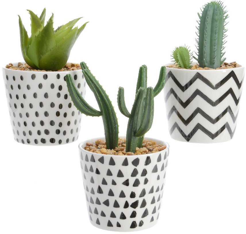 Succulent (Cactus) Ornament Pots - 3 designs available