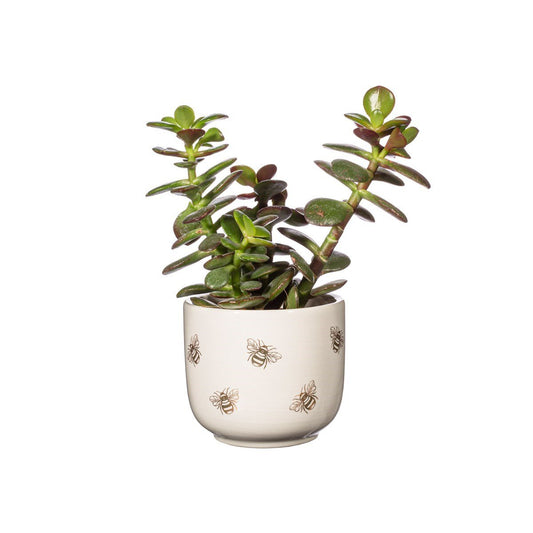 Queen Bee Mini Ceramic Planter