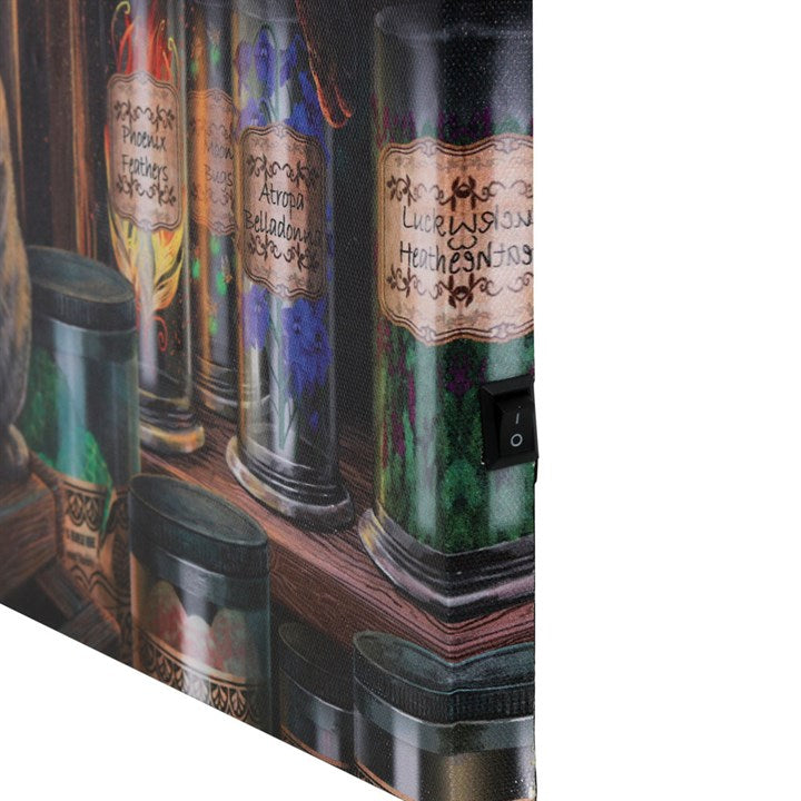 Magical Emporium (Cat) Light Up Canvas Plaque by Lisa Parker